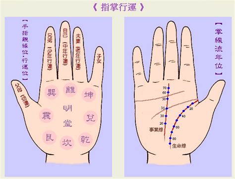 手指長度手相|手相分析：手指長短形狀暗示你命運的相關信息，看你。